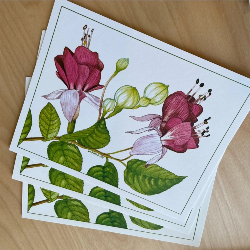 Vintage Stationery by Current Garden Glory 4 Floral Designs w Envelopes 1979